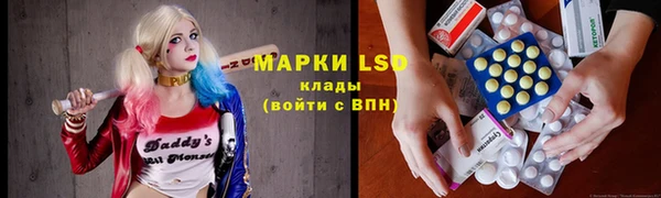 спиды Елизово