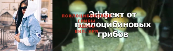 бошки Заводоуковск