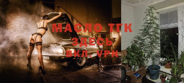 спиды Елизово