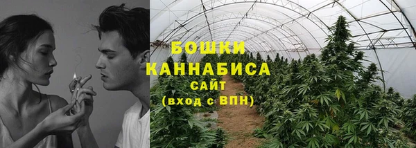 мет Елабуга