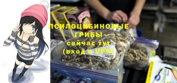 мет Елабуга