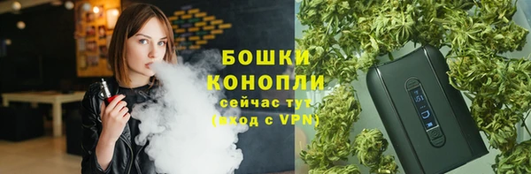 mix Ельня
