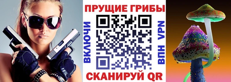 купить наркоту  Кисловодск  Псилоцибиновые грибы Psilocybe 